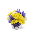 /images/ftdsg2012/B25-4126^1lg.jpg The FTD Spirit of Spring Basket